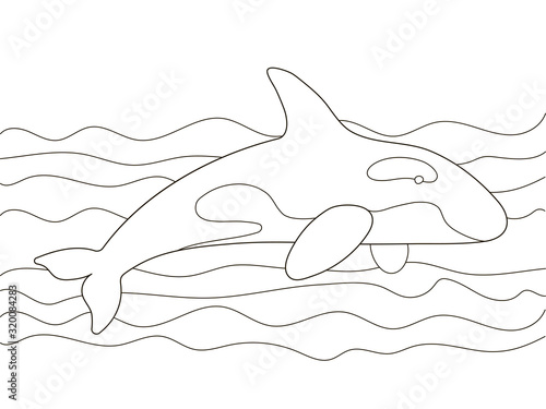 Vector beautiful coloring book for adults and children with a killer whale among the waves. A series of coloring books with marine animals. Minimalism and simple lines, silhouette of fish.