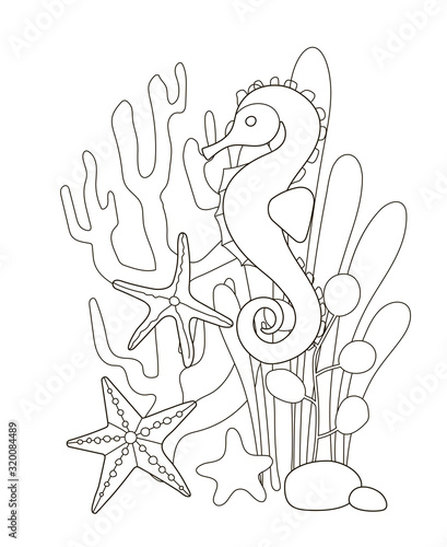 Vector beautiful coloring book for adults and children with a seahorse among algae, starfish and corals. A series of coloring books with marine animals.