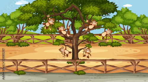 Scene with wild animals in the zoo at day time