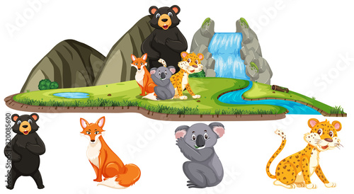 Photography Scene with many wild animals by the waterfall on white background