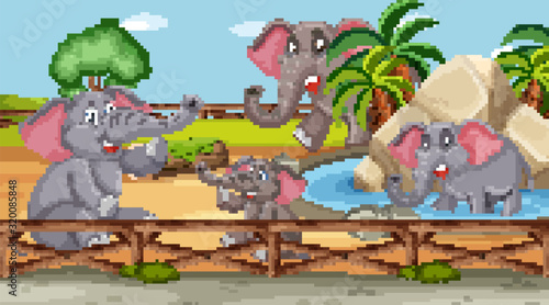 Scene with wild animals in the zoo at day time