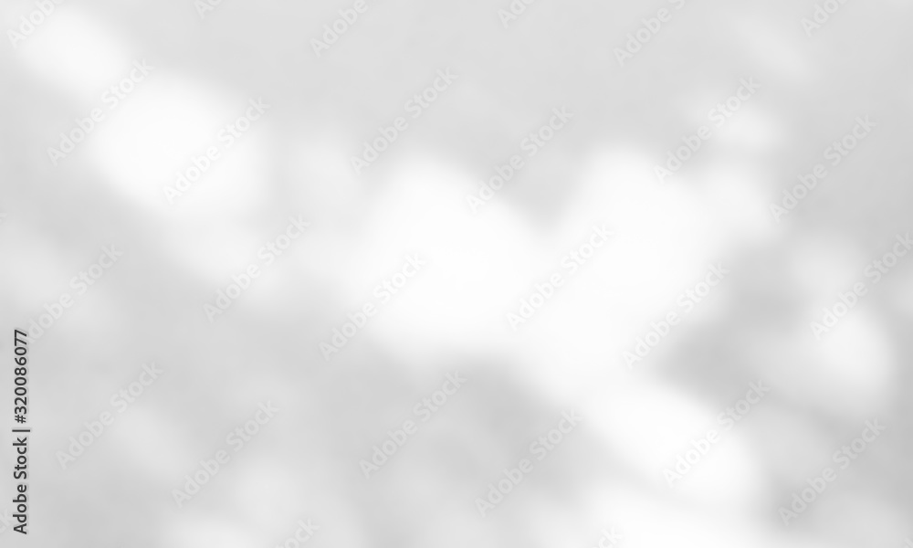 Abstract Shadows, blurred background of gray leaves and natural trees that reflect concrete walls, fallen branches on white wall surfaces for blurred backgrounds and black and white wallpapers. Abstract Shadows, blurred background of gray leaves and natural trees that reflect concrete walls, fallen branches on white wall surfaces for blurred backgrounds and black and white wallpapers.
