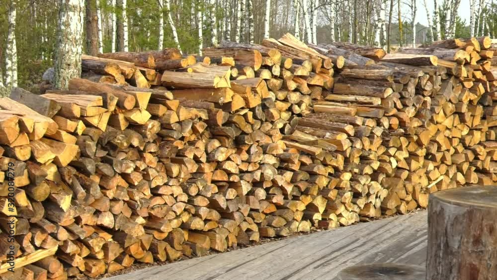 Preparation of firewood for the winter. Stacks of firewood in the forest. Pile of firewood. Preparation of firewood for the winter. Stacks of firewood in the forest. Pile of firewood.
