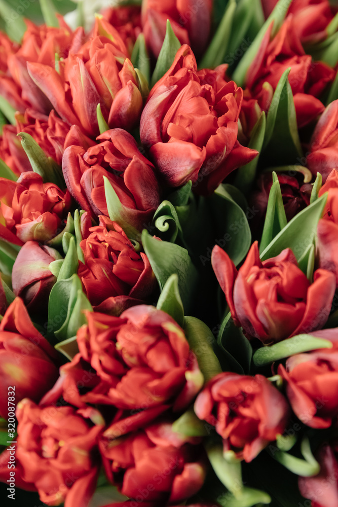 Fototapeta premium bouquet of tulips in front of spring scene