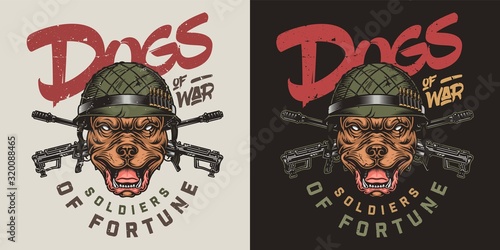 Colorful vintage military print
