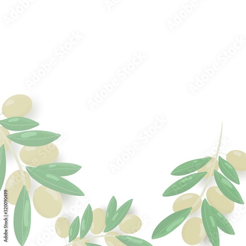 Olives on a branch  olive oil  color picture  branch with leaves  green leaves  branch and olives  hand-drawn illustration  multi-colored drawing