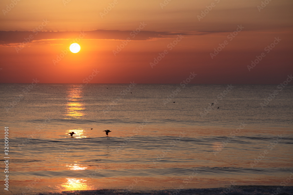 Oramge Sunrise on calm ocean with reflection and birds in flight #1
