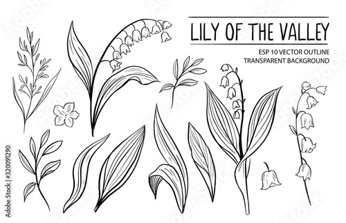 Lily of the vally. Hand drawn outline converted to vector