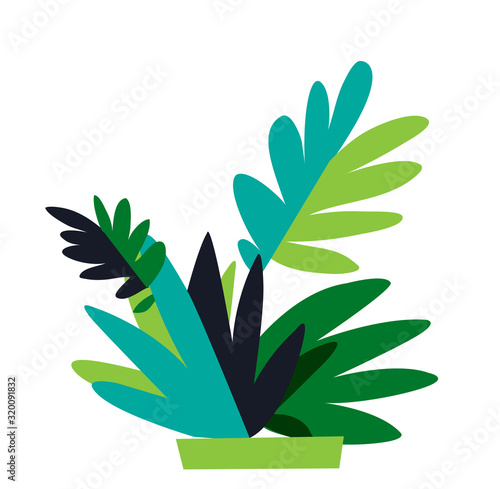 Piante e foglie ornamentali in style semplice isolate sullo sfondo bianco. Composizione floreale - Illustrazione vettoriale	