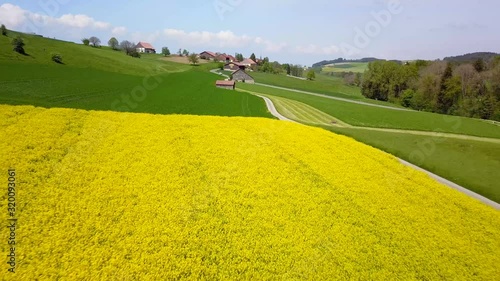 vol à reculons avec un drone au-dessus d'un champ de colza jaune au soleil dans la campagne suisse romande du canton de Vaud en Suisse photo