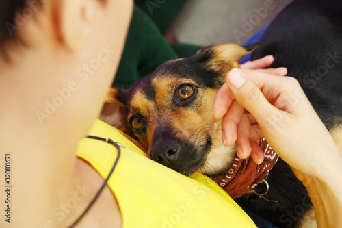 pretty young woman holding dog looking to each other