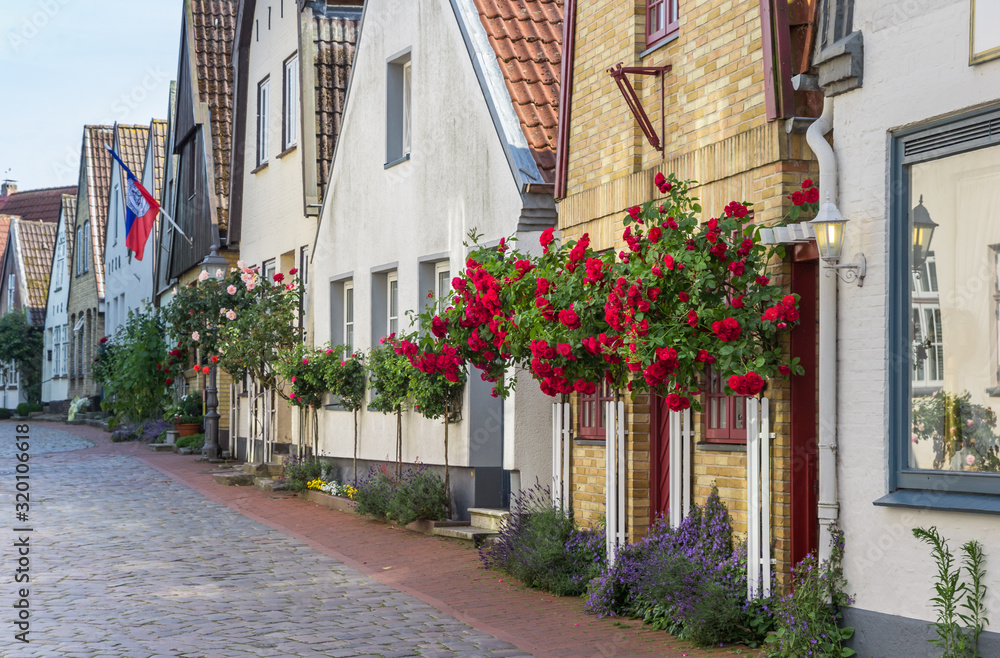 Red roses in front of historic houses in Holm village in Germany