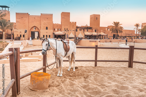 Photography Stall with thoroughbred Arab horses near an ancient village in the desert Sands