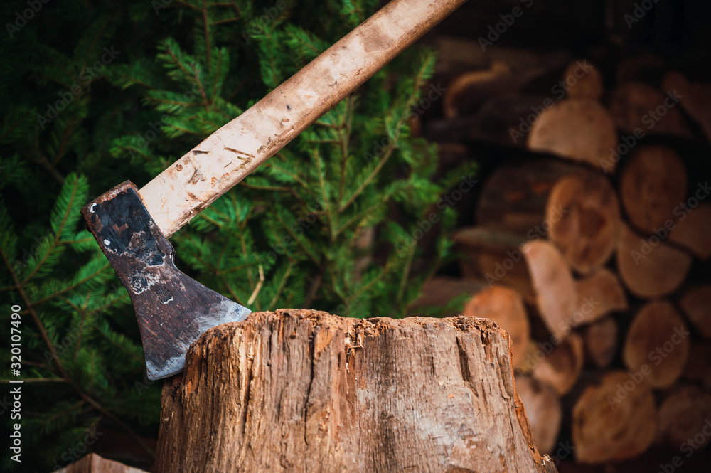 Ax on a wooden throne ready to cut firewood, background cut firewood and pine tree Ax on a wooden throne ready to cut firewood, background cut firewood and pine tree