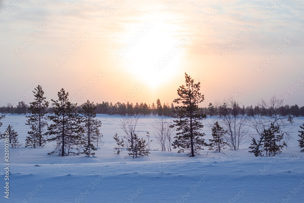winter dawn in the tundra winter dawn in the tundra