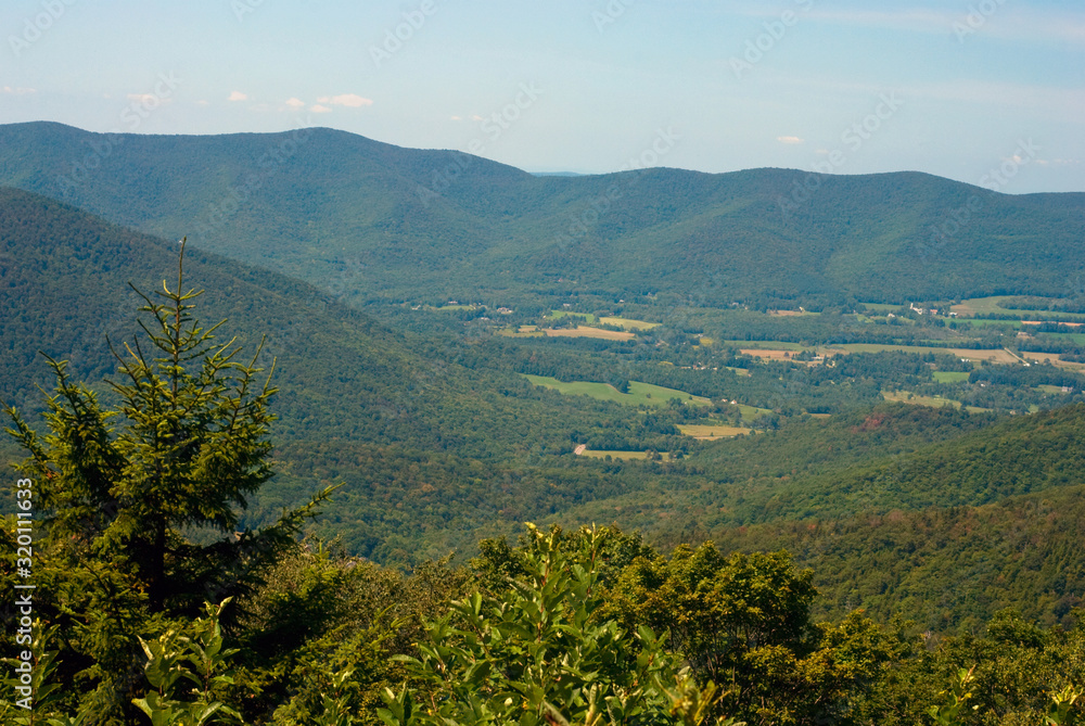 View from Mount Greylock