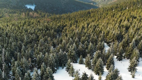 Aerial view of a forest and beautiful landscape in winter. 4K High resolution drone shot flying over tree tops.