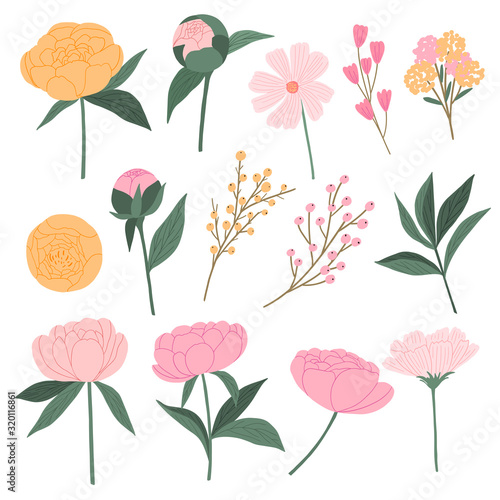Collection of beautiful flowers for print  card  decor. Spring summer decorative flowers illustration. 