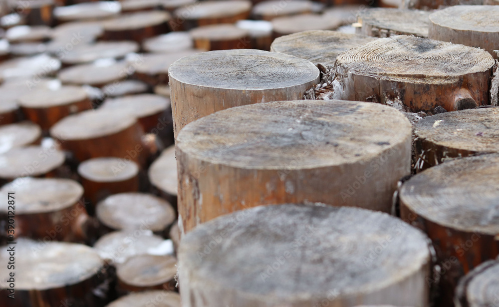 large stacked tree logs, round wooden slices