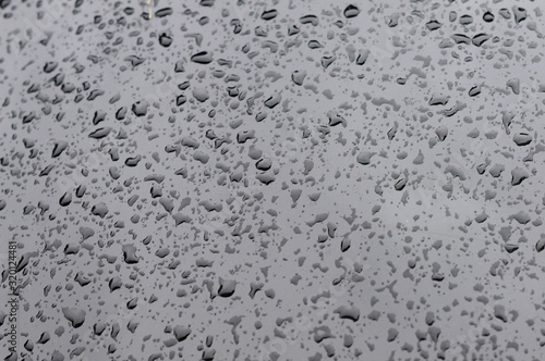Raind Drops On Glass