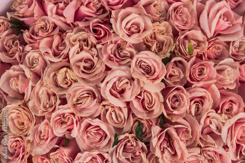 Photos ramo de rosas rosas