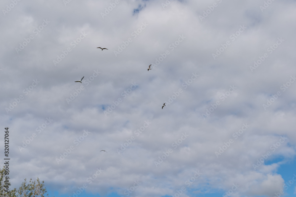 Ria Formosa Nature Park