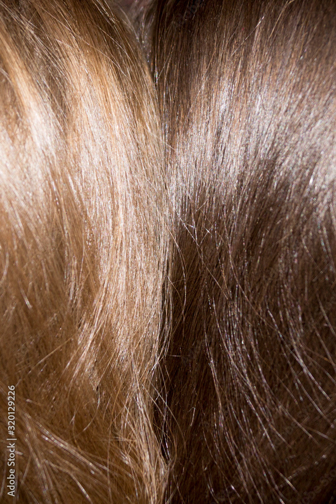 Fototapeta premium light and dark blond hair