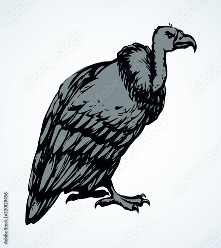 Vulture. Vector drawing icon sign