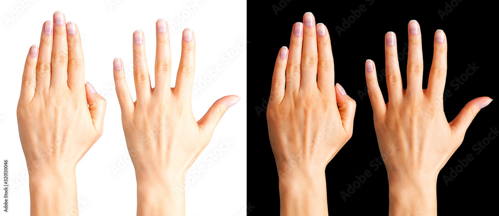 Set of women hands showing palm isolated on a white and black