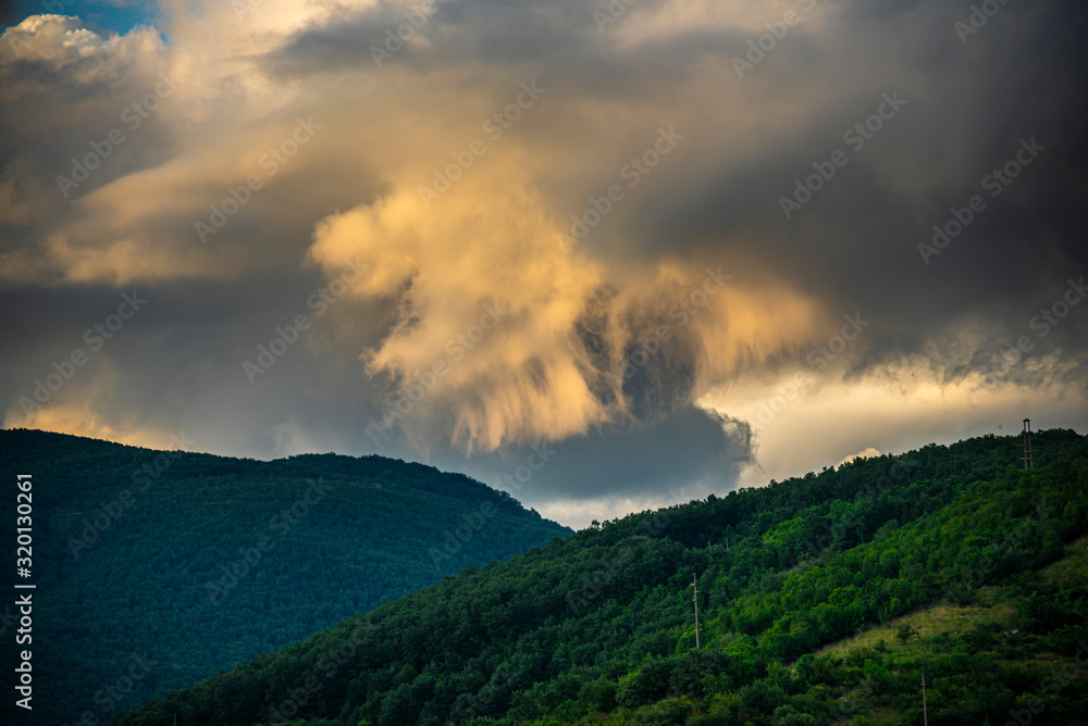 Storm summer clouds in the sunflowers field