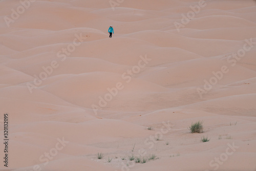 sand dunes in the desert