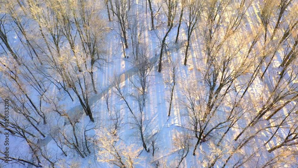 Aerial view of Winter forest treetops with fresh white snow below, at the first light of day. Aerial view of Winter forest treetops with fresh white snow below, at the first light of day.