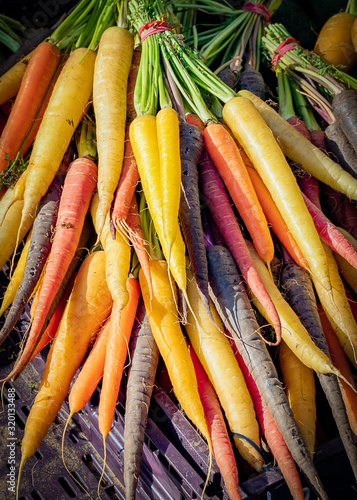 Fresh rainbow carrots picked from the garden