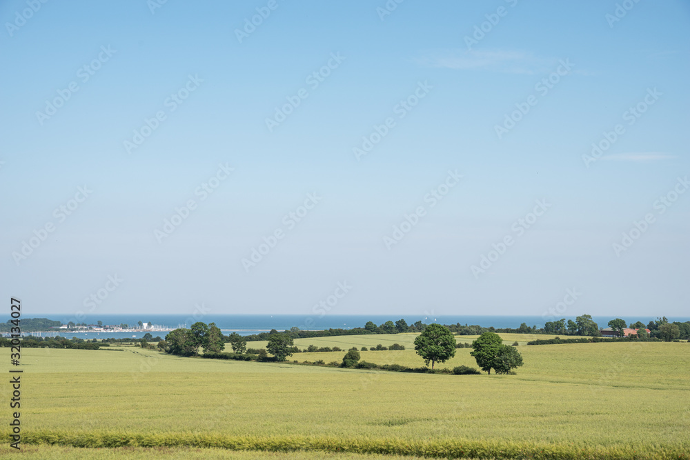 Fototapeta premium Felder im Sommer