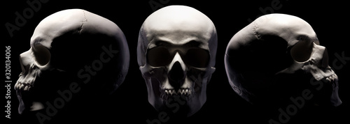 Fotografija Set of gypsum model of the human skulls isolated on black background