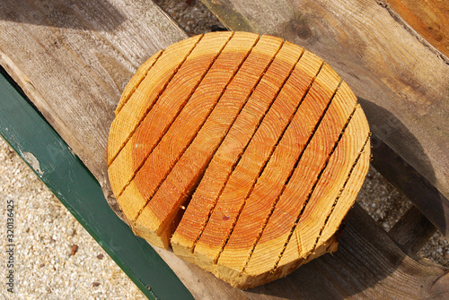 Wooden log on a table
