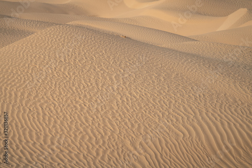 Fototapeta Naklejka Na Ścianę i Meble -  The send of the Sahara