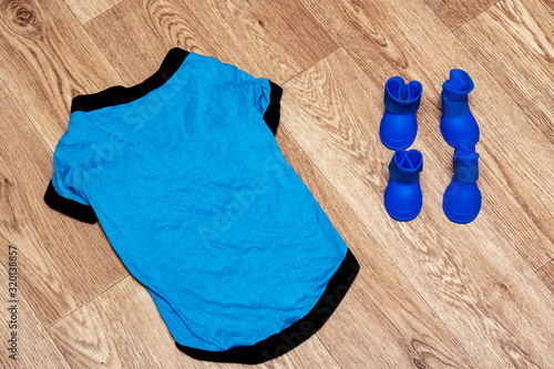 Blue shoes and closhes for dog on wooden background photo