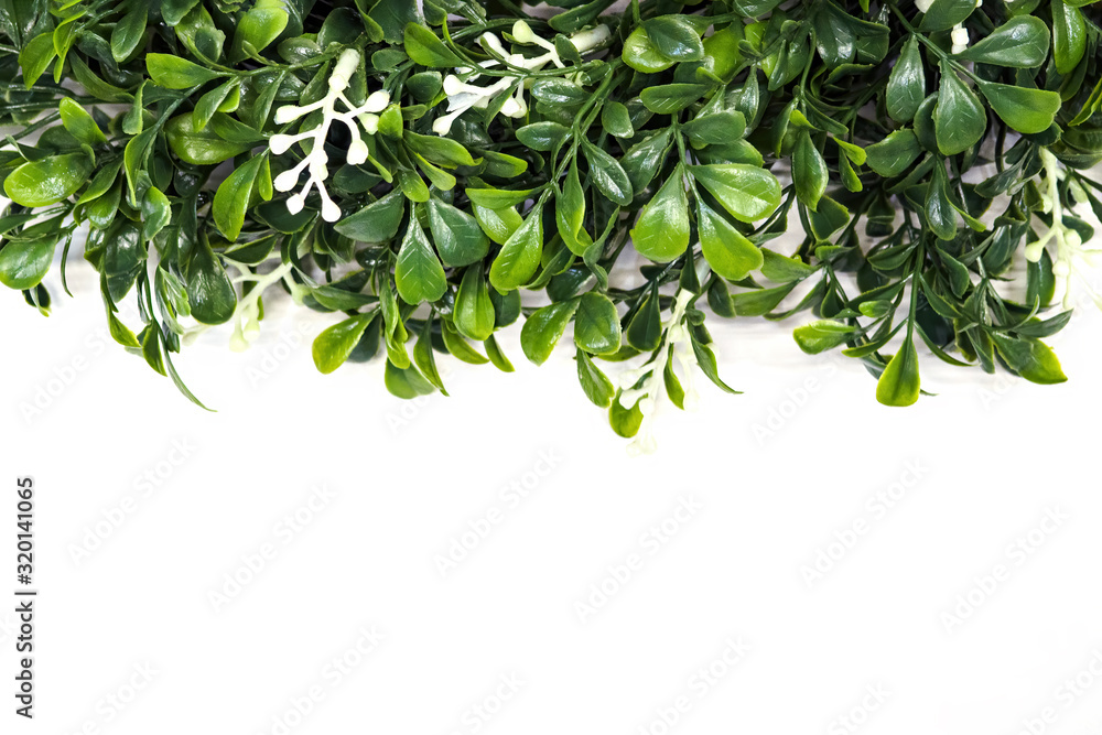 green artificial greens on a white background, selective focus, copy space.