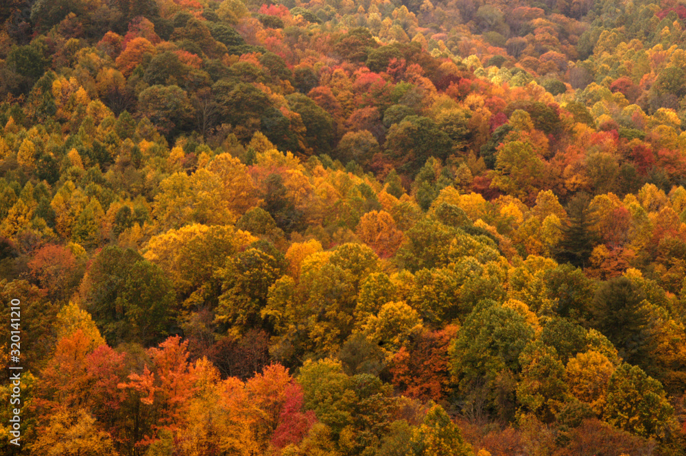 Sam's Gap Fall