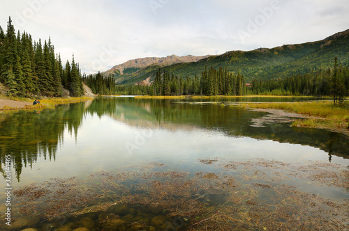 The horseshoe lake along the the horseshoe lake trail at Denali National Park, Alaska, USA. Trail is a 1.4 mile moderately trafficked out and back trail located near Healy, Alaska.