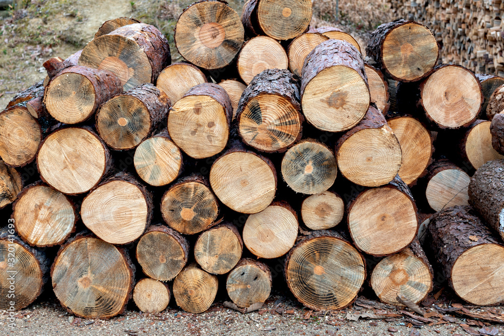 Stacked logs to burn for stove in kitchen Stacked logs to burn for stove in kitchen