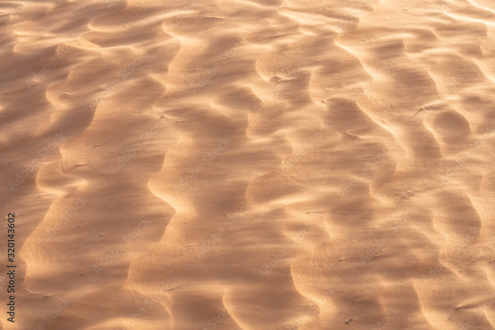 Fototapeta premium The Tunisian Sahara