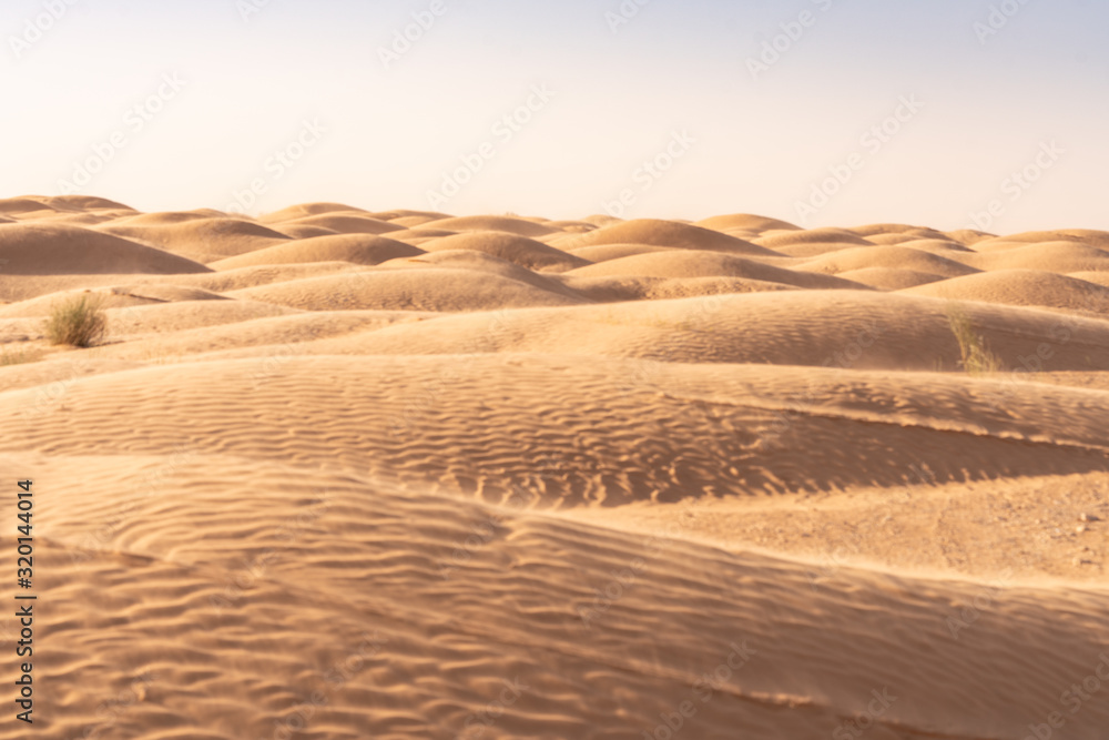 The Tunisian Sahara