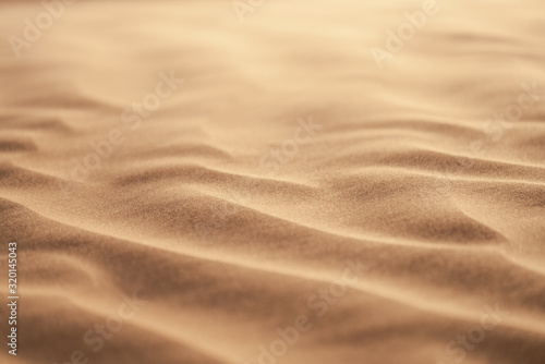 sand dunes in the desert © skazar