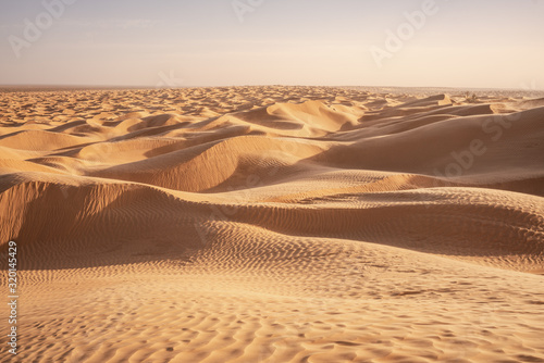 Fototapeta Naklejka Na Ścianę i Meble -  sand dunes in the desert