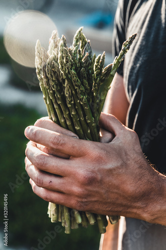 Green asparagus kept in men's hands