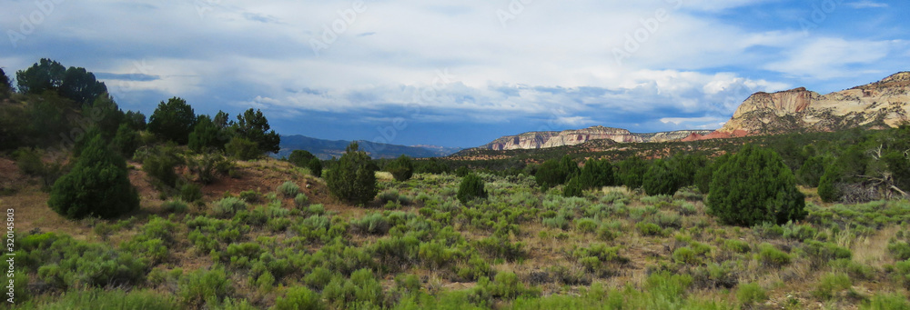 Desert Landscape Desert Landscape