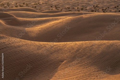 sand dunes in desert