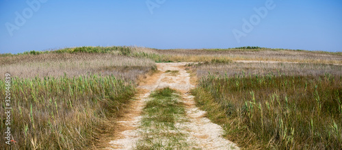 Road in the steppe (Ukraine, Tuzlovski Lagoons National Park) photo